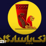 وام فوری پاسارگارد با چک صیادی