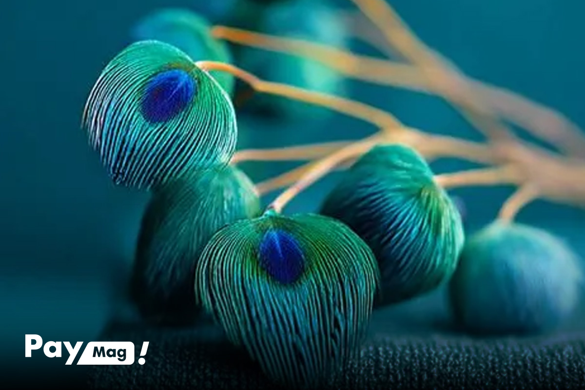 ویژگی‌های رنگ سال 2026
