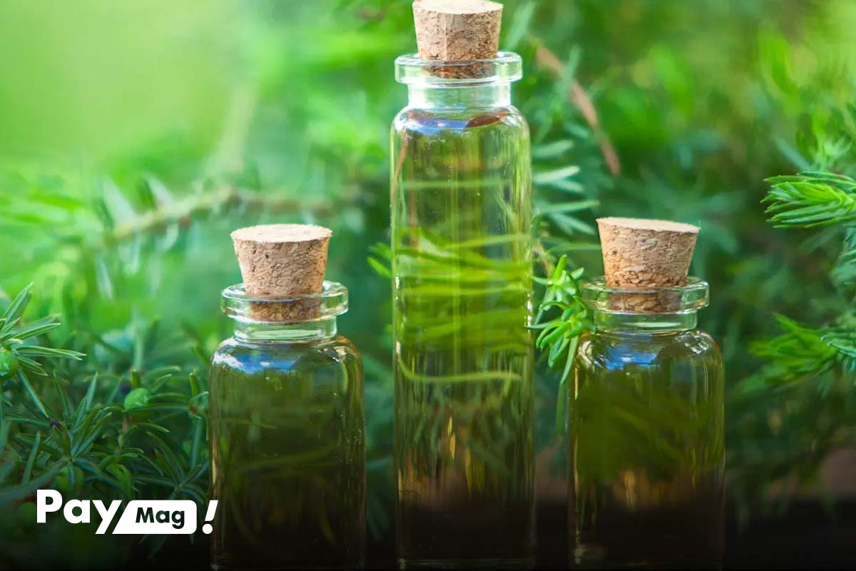 روغن درخت چای برای مو