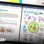 بهترین برنامه دفترچه یادداشت