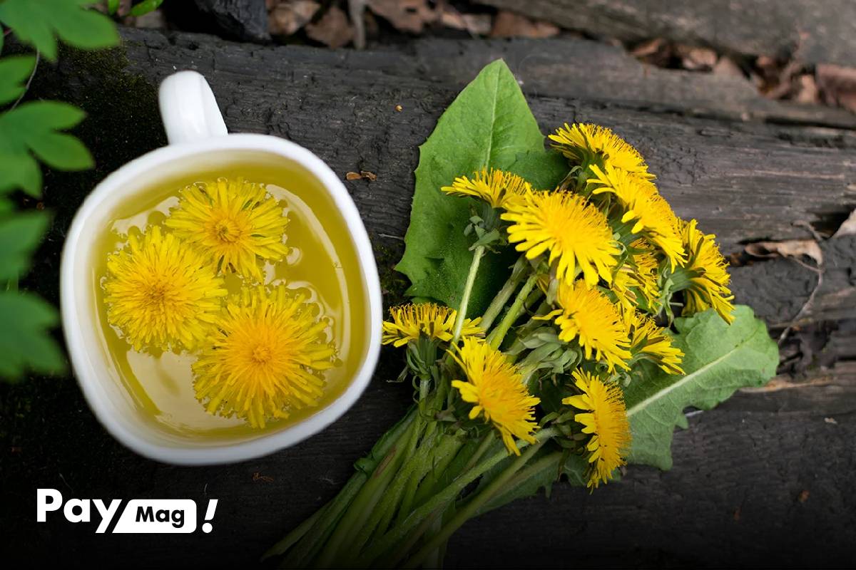 بهترین دمنوش برای روده