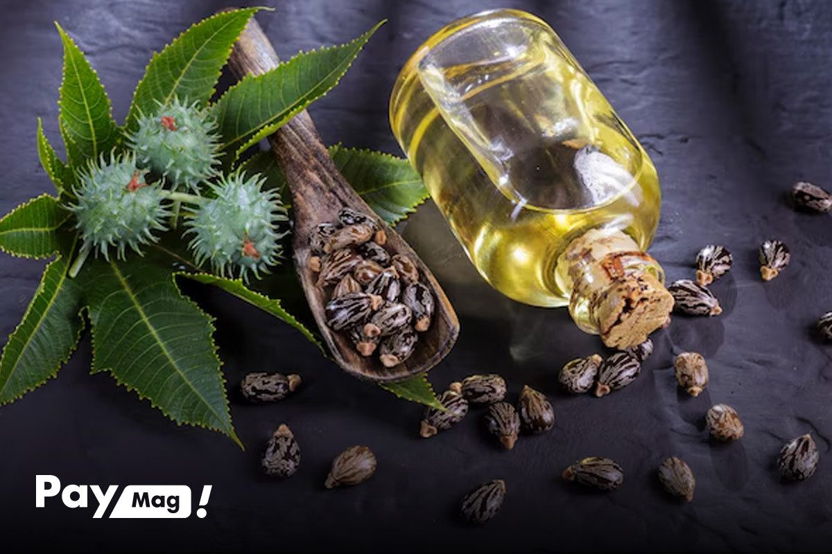 خواص روغن کرچک برای مو و ابرو