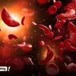 علائم کم خونی را بشناسیم؛ بدن شما چه پیامی میدهد؟ - تصویر 1