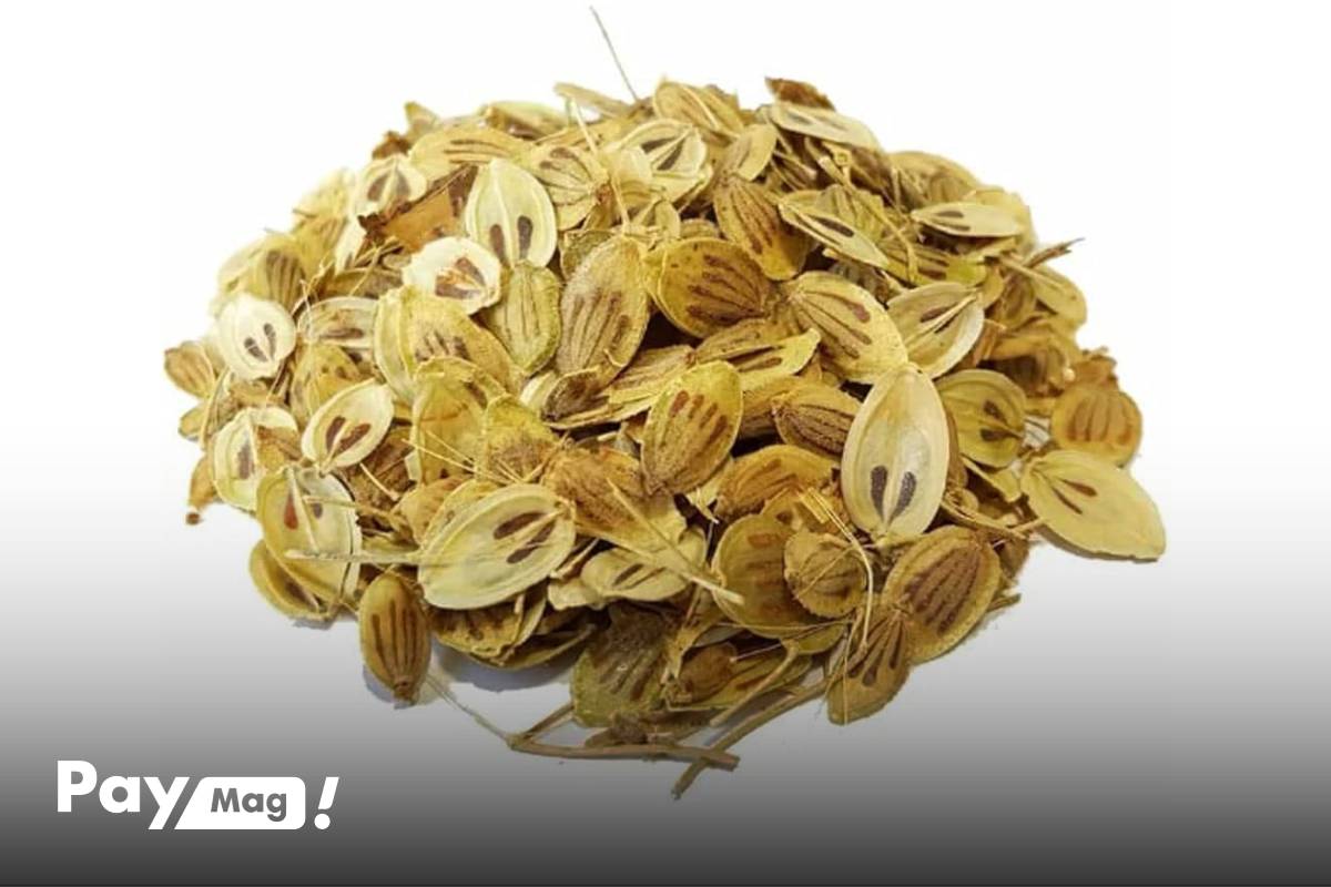 خواص باقلا پخته با گلپر
