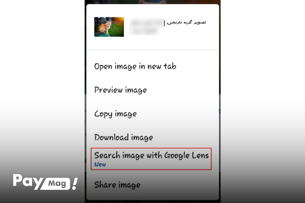 آموزش کار با گوگل لنز در مرورگر کروم