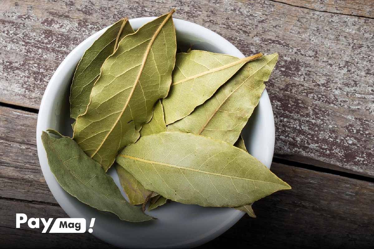 خواص برگ بو برای دستگاه گوارشی