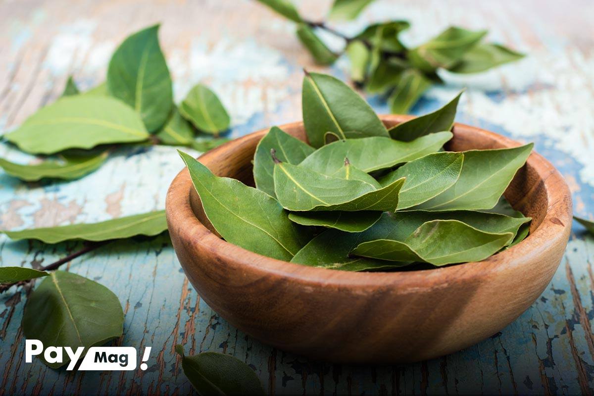 خواص برگ بو برای سیستم ایمنی