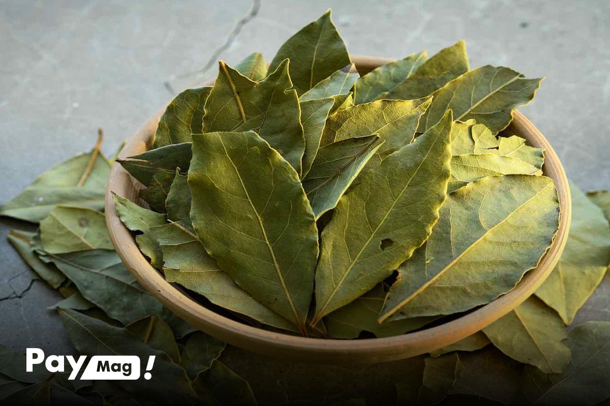 خواص برگ بو برای دستگاه تنفسی