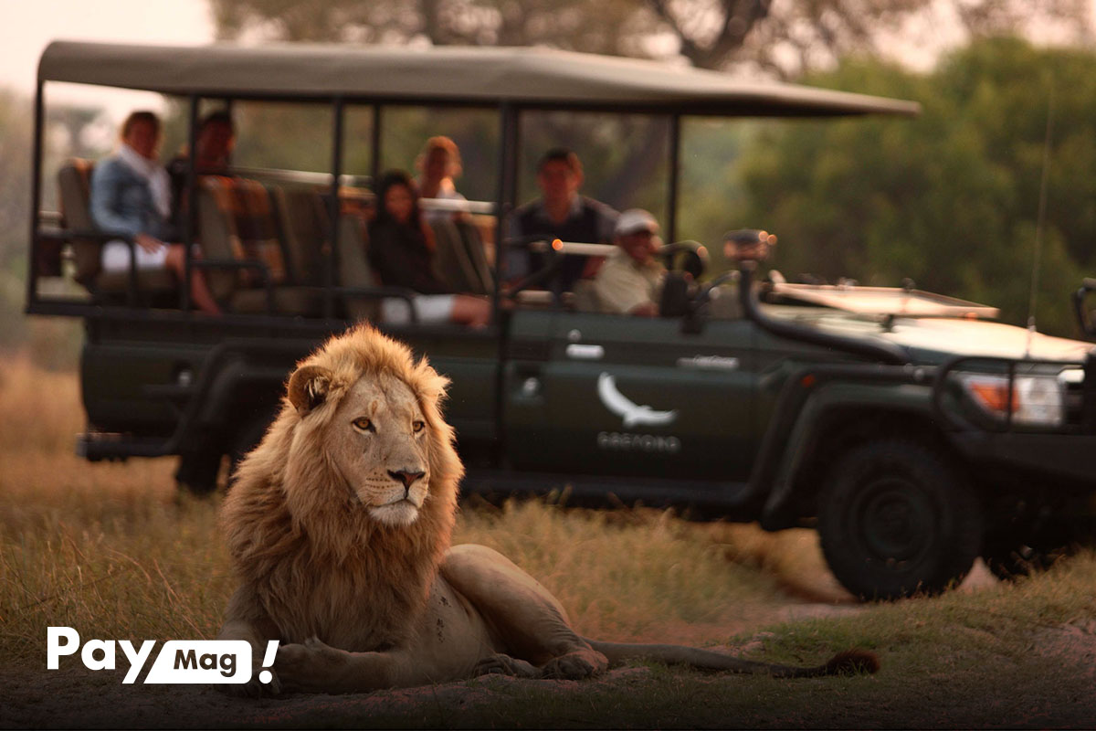 سافاری Game Drives