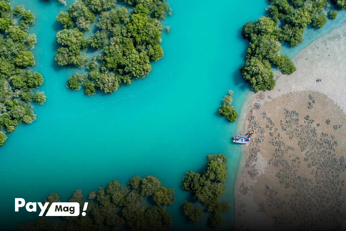 جنگل حرا، یکی از جذاب‌ترین جاهای دیدنی قشم