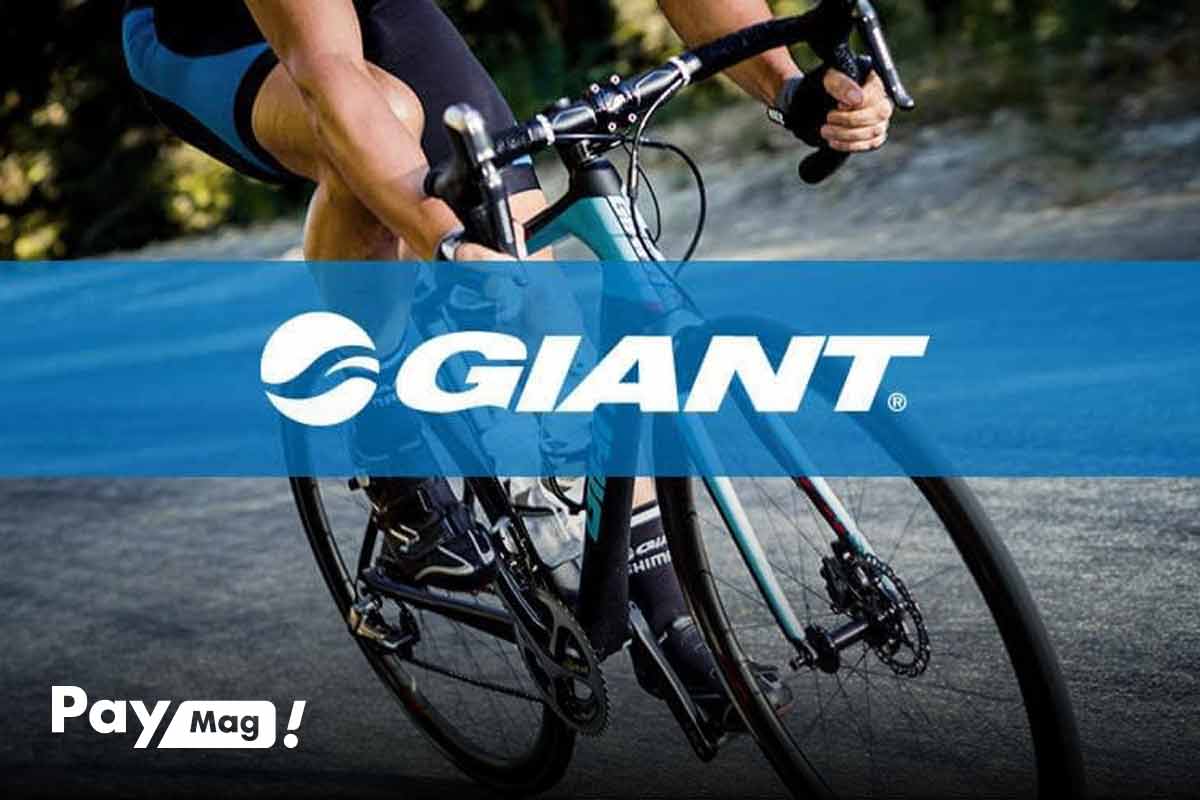 دوچرخه برقی جاینت سری بتا Giant Roam 2