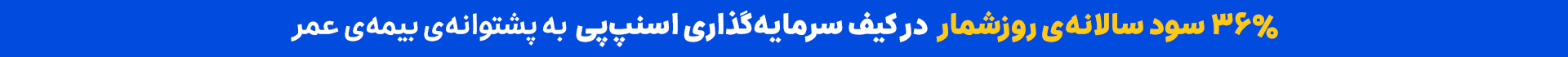۳۶٪ سود سالانه‌ی روزشمار در کیف سرمایه‌گذاری اسنپ‌پی